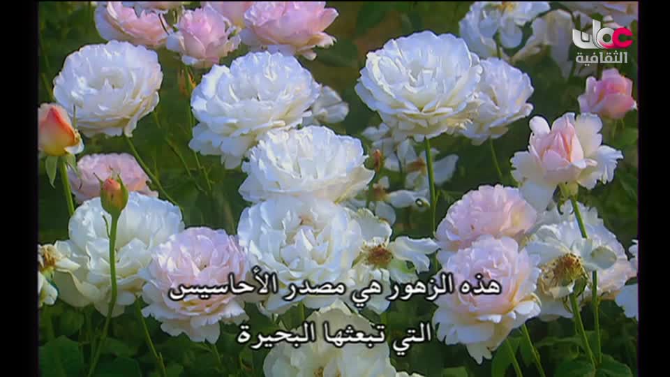 سبحانك ربي - الحلقة 23