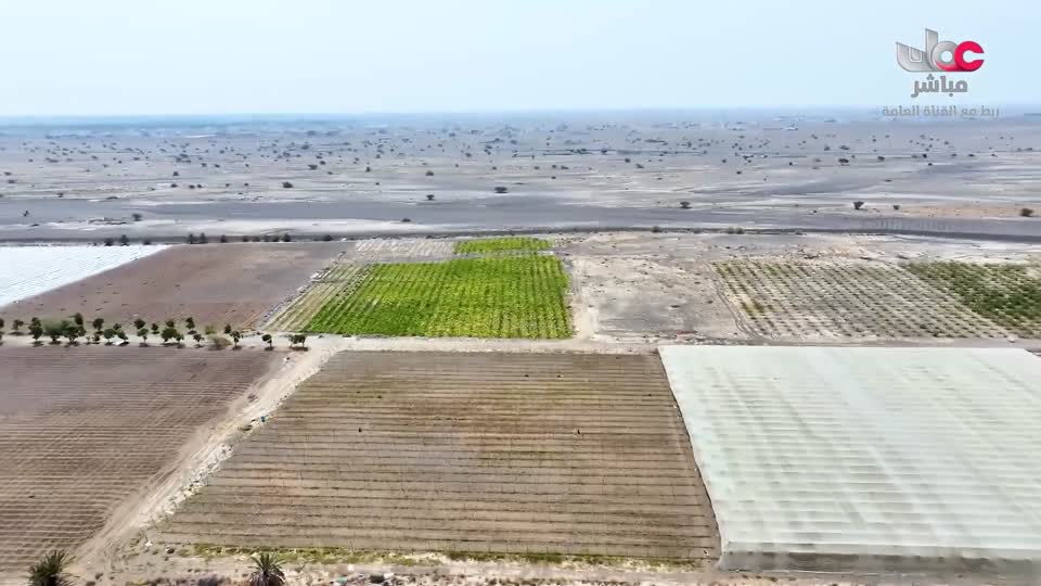 البرنامج العلمي - حصاد - الحلقة 21