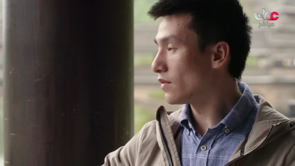 طاقة الحياة