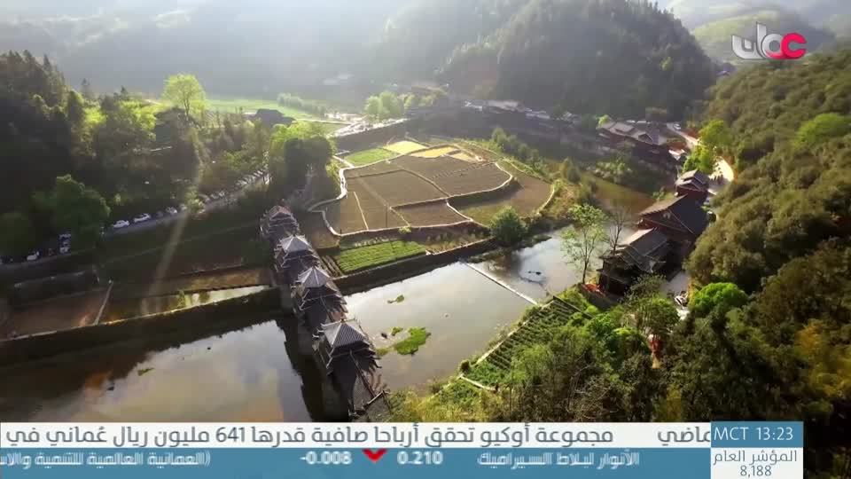 طاقة الحياة