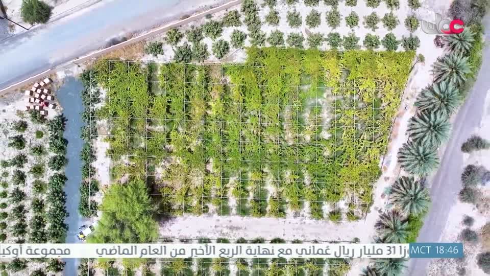 البرنامج العلمي - حصاد - الحلقة 21