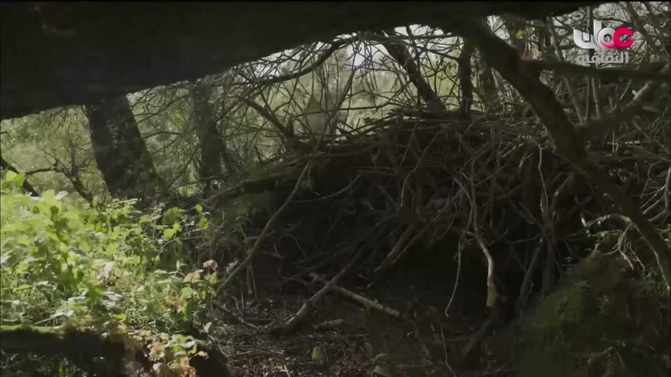 البرنامج الثقافي - افضل فنون العمارة - الحلقة 7