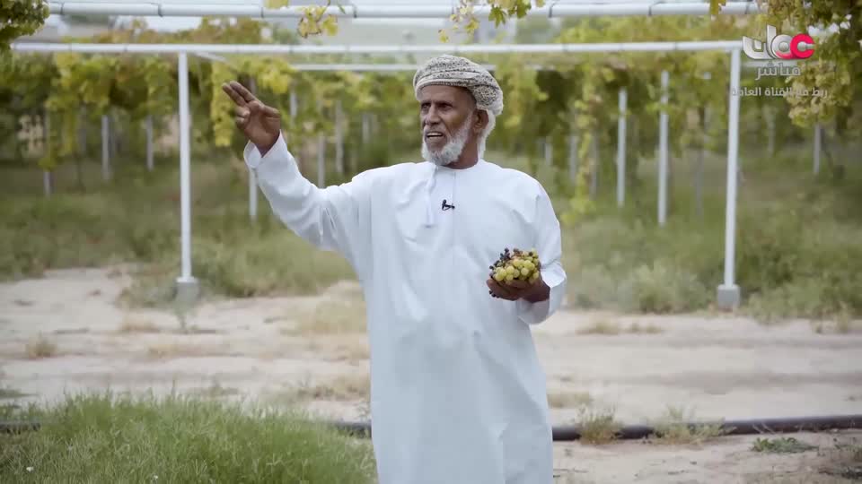 البرنامج العلمي - حصاد - الحلقة 21