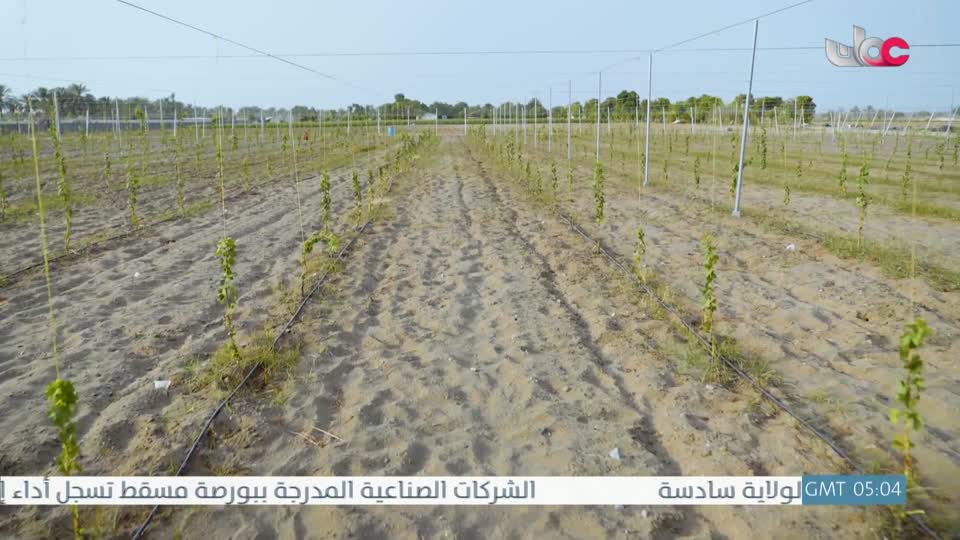 البرنامج العلمي - حصاد - الحلقة 21