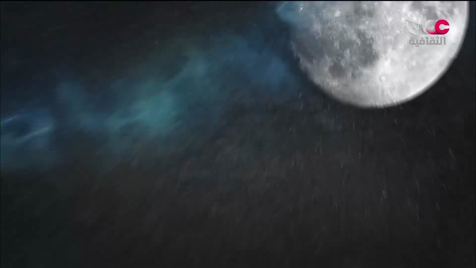 البرنامج الثقافي - عالم الأشجار