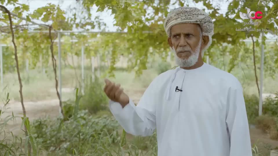 البرنامج العلمي - حصاد - الحلقة 22