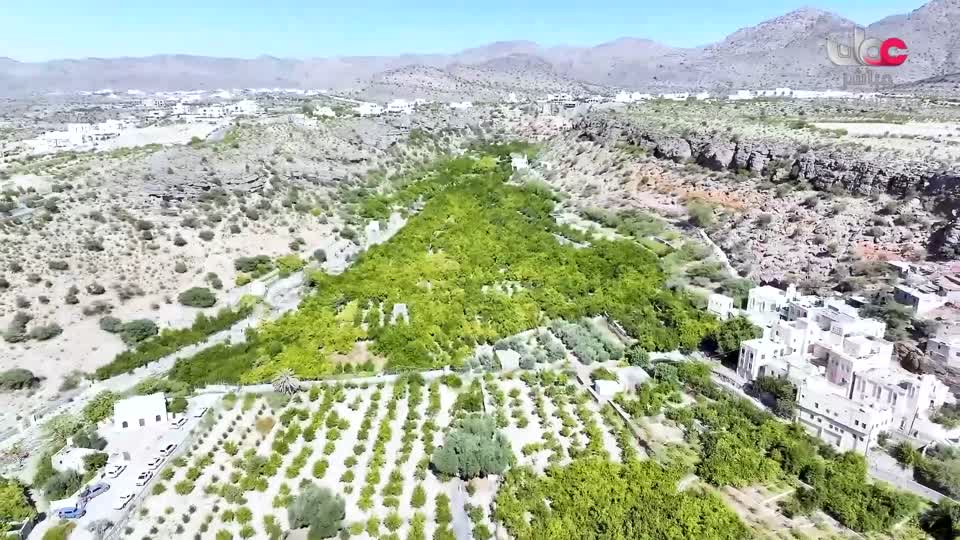 البرنامج العلمي - حصاد - الحلقة 22