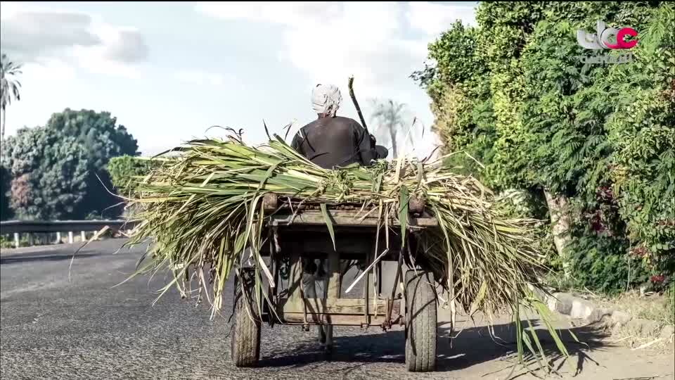 البرنامج الثقافي أرض ونار - تطور فن الطبخ - الحلقة 22