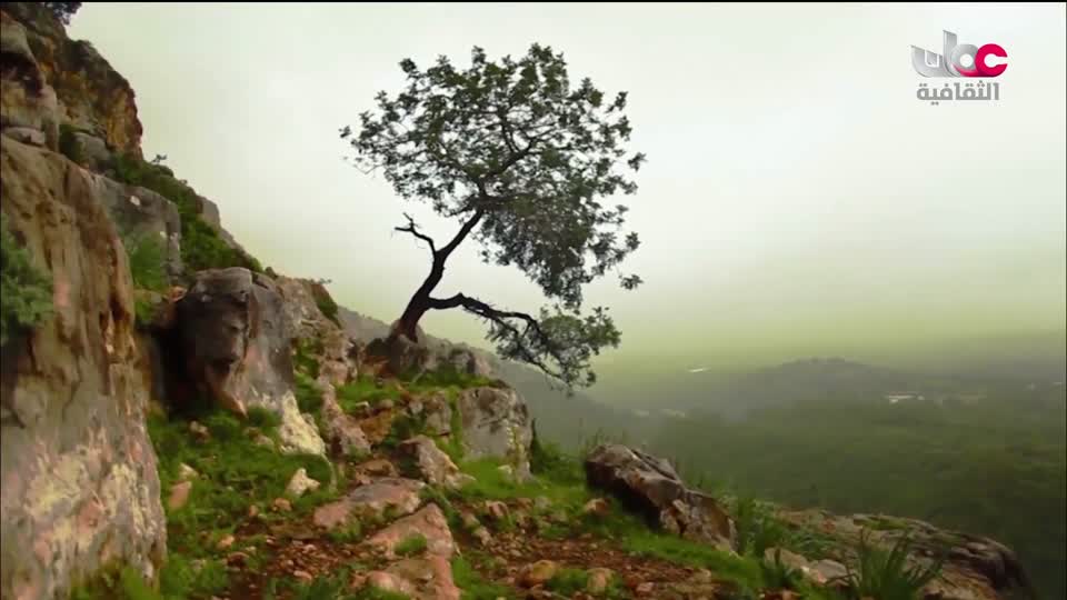 برنامج/اغاني مفرغة-موشحات - مركز عمانللموسيقى التق