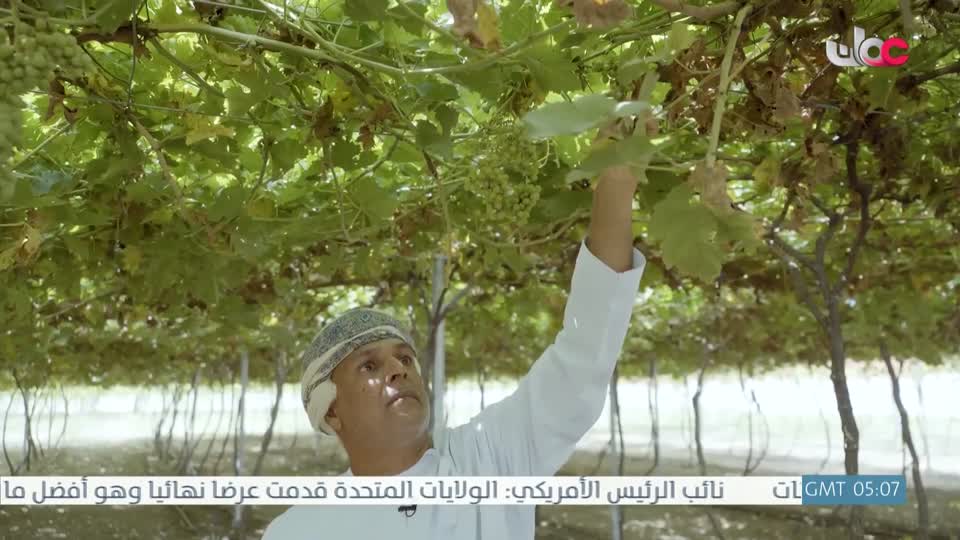 البرنامج العلمي - حصاد - الحلقة 22