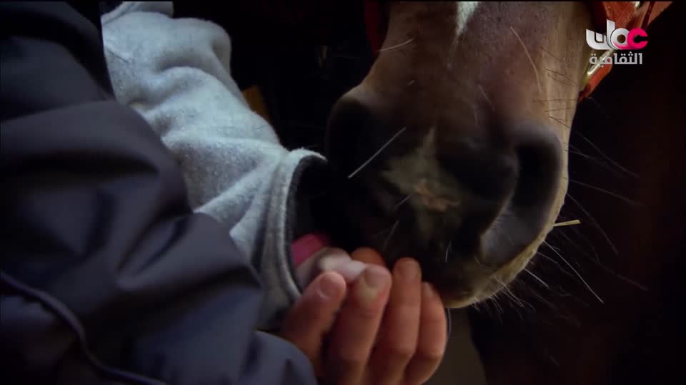 وثائقيات عن الطبيعة والمناخ - الحلقة 1