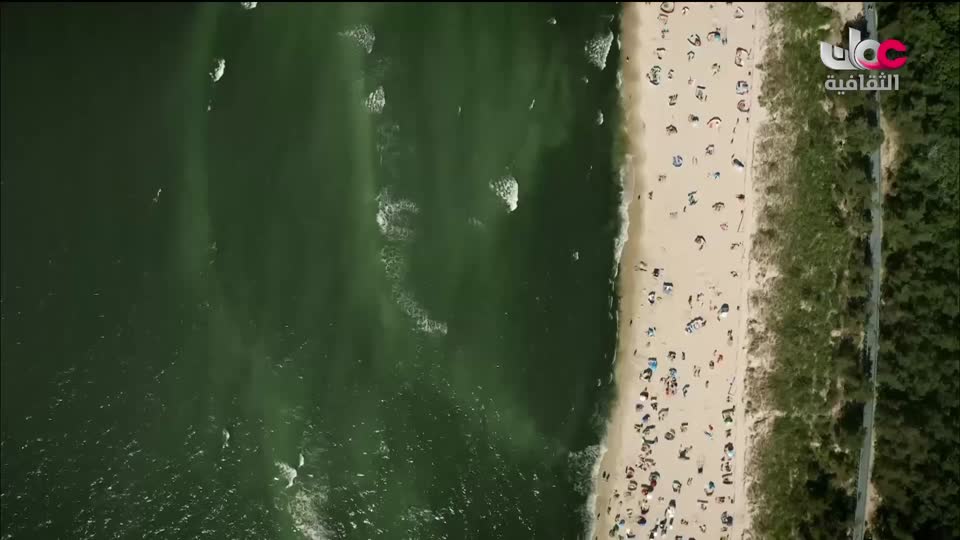 البرنامج الثقافي - عالم الأشجار