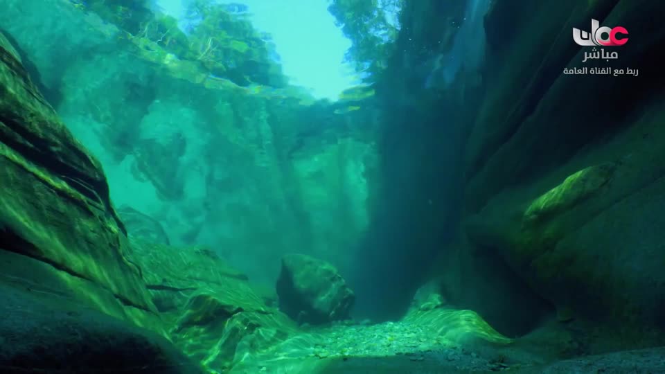 طاقة الحياة