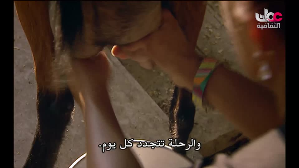 سبحانك ربي - الحلقة 24