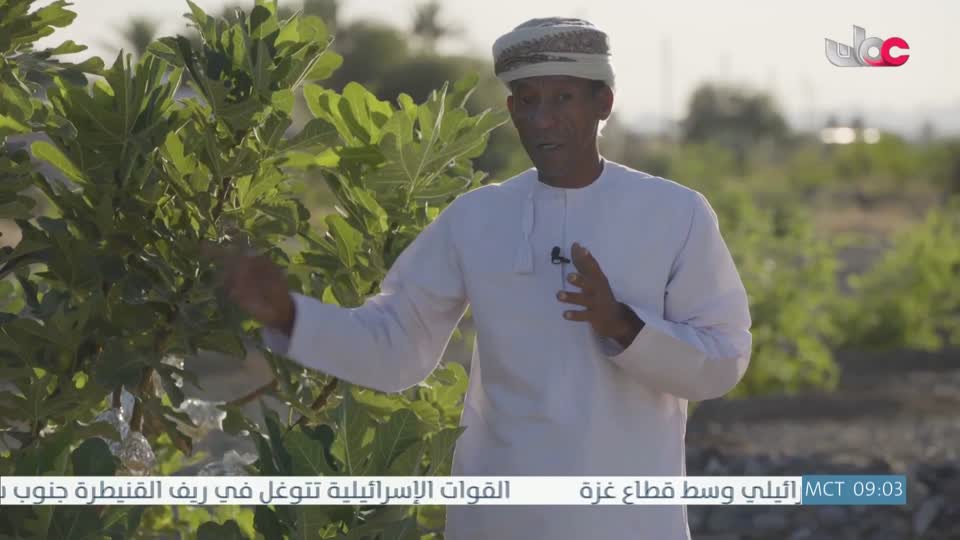 البرنامج العلمي - حصاد - الحلقة 23