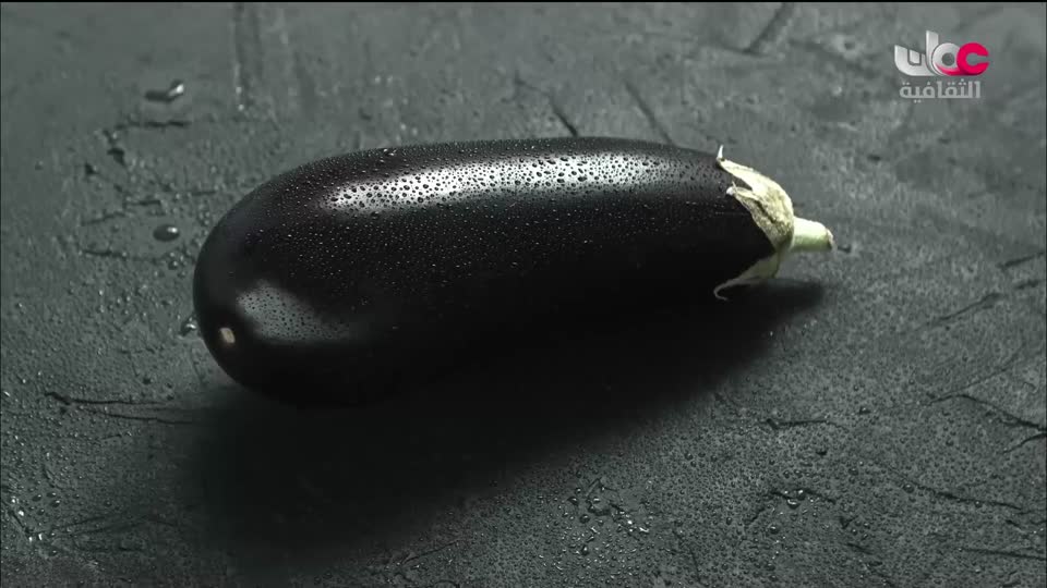 البرنامج الثقافي أرض ونار - تطور فن الطبخ - الحلقة 23