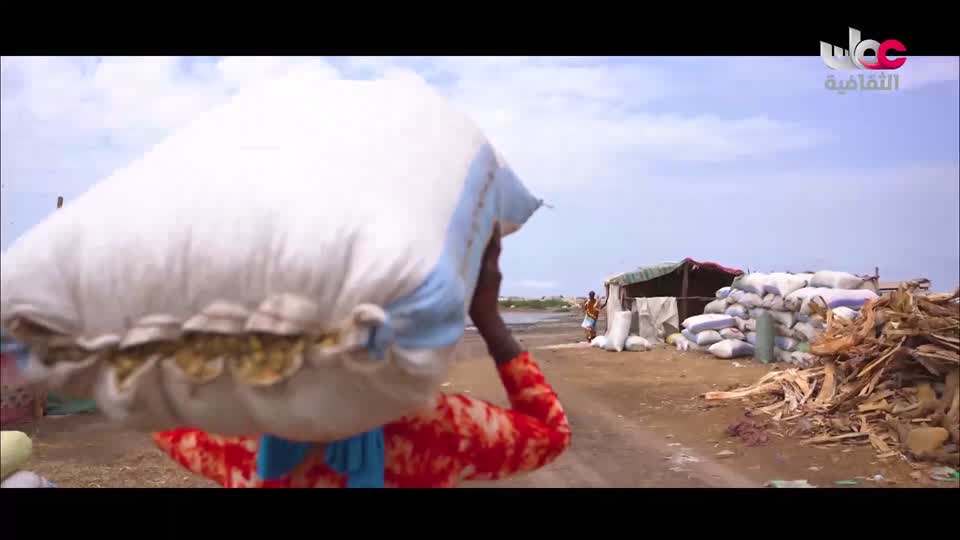 برنامج الثقافي - أسرار الحياة والكون - الحلقة 11