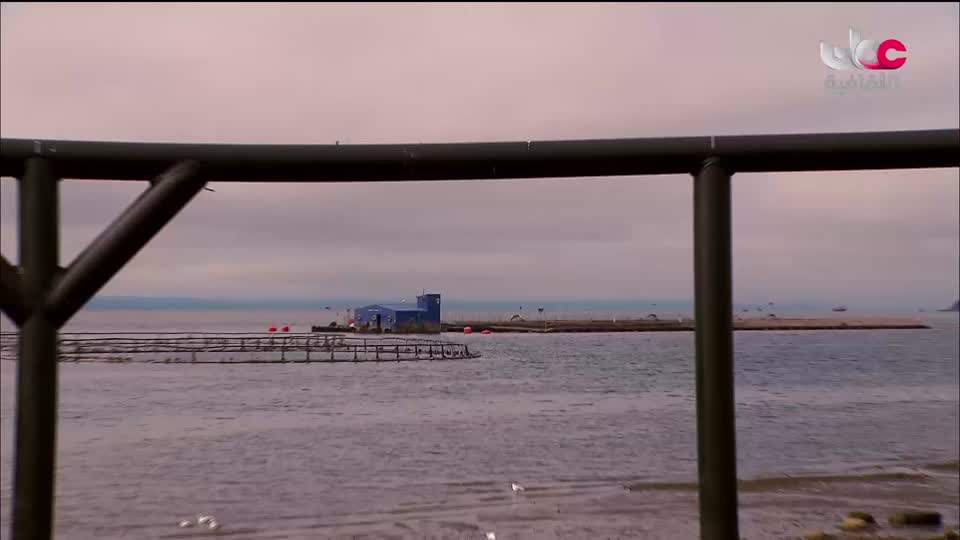 الزراعة من اجل الكوكب - الحلقة 2