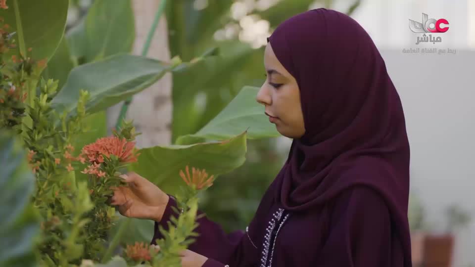 البرنامج العلمي - حصاد - الحلقة 24