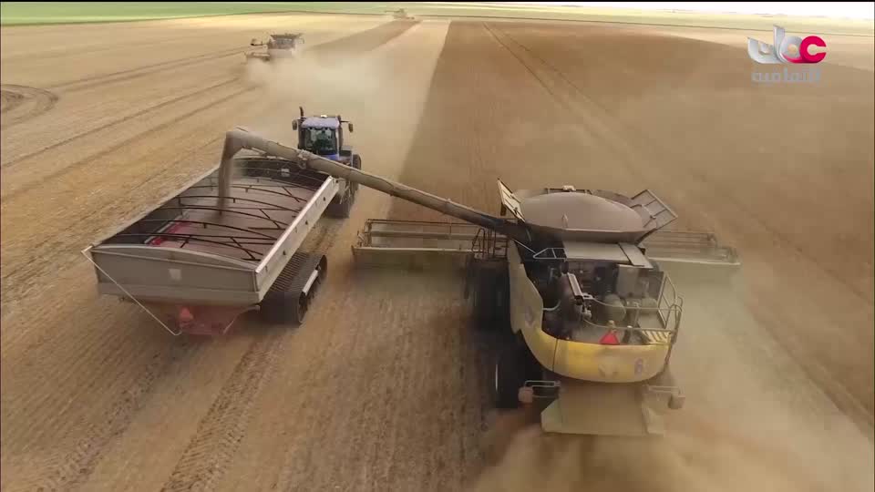 برنامج - فيتامينات - الحلقة 95