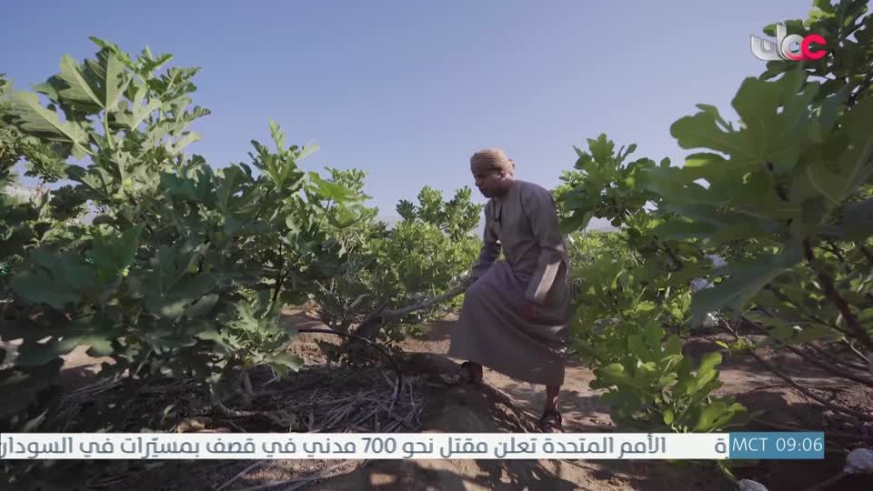 البرنامج العلمي - حصاد - الحلقة 24