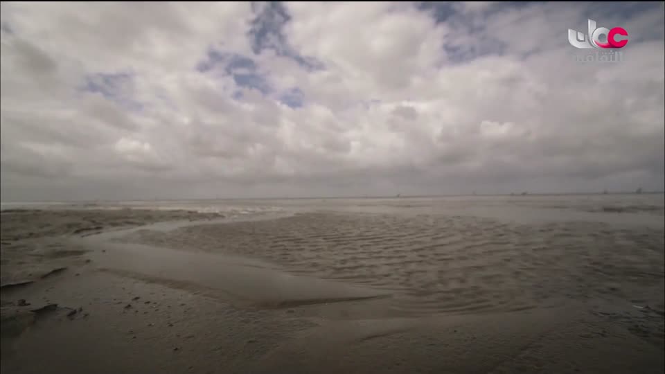 البرنامج الثقافي البحث عن المعرفة - الحلقة 4