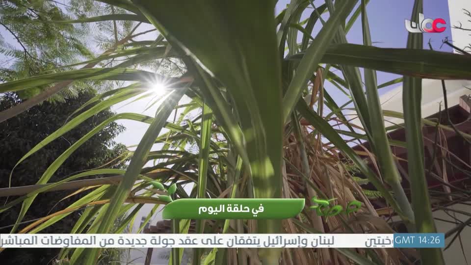 برنامج - خير يبقى - الحلقة 24