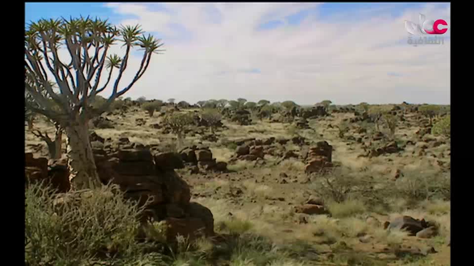 سبحانك ربي - الحلقة 26