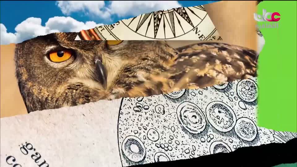 برنامج الثقافي - أسرار الحياة والكون - الحلقة 12