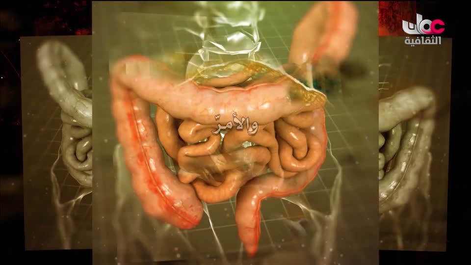 برنامج _ البوصلة - الحلقة 25