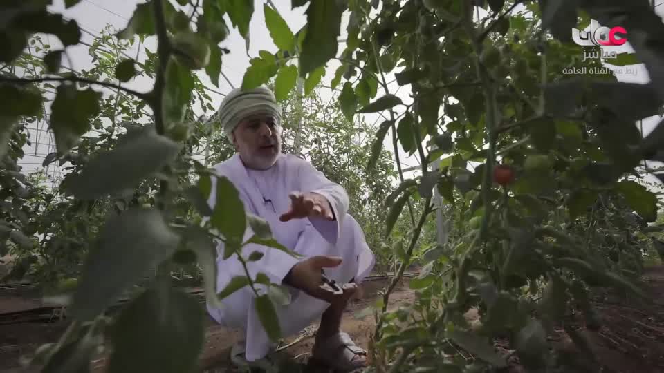 البرنامج العلمي - حصاد - الحلقة 25