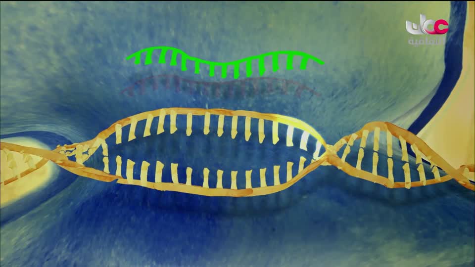البرنامج الثقافي البحث عن المعرفة - الحلقة 5