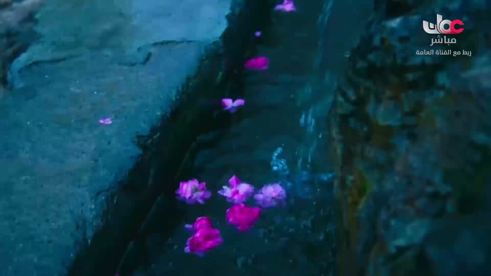 قهوة الصباح