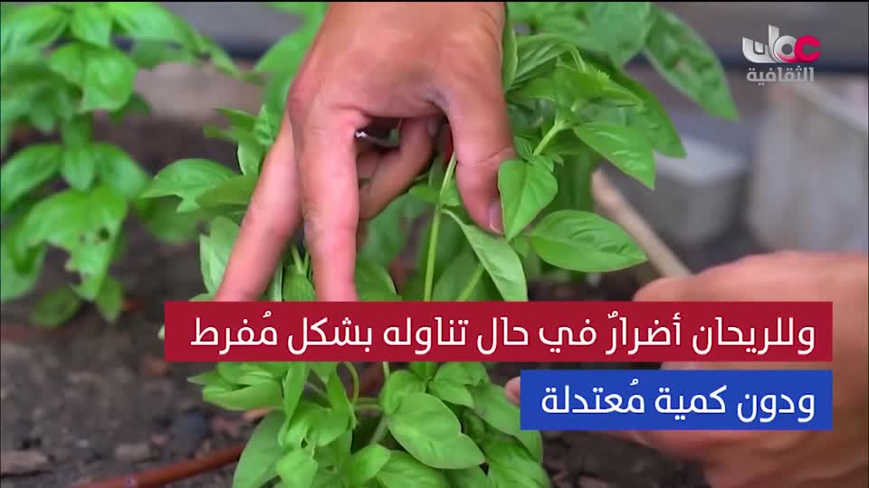 الزراعة من اجل الكوكب - الحلقة 4