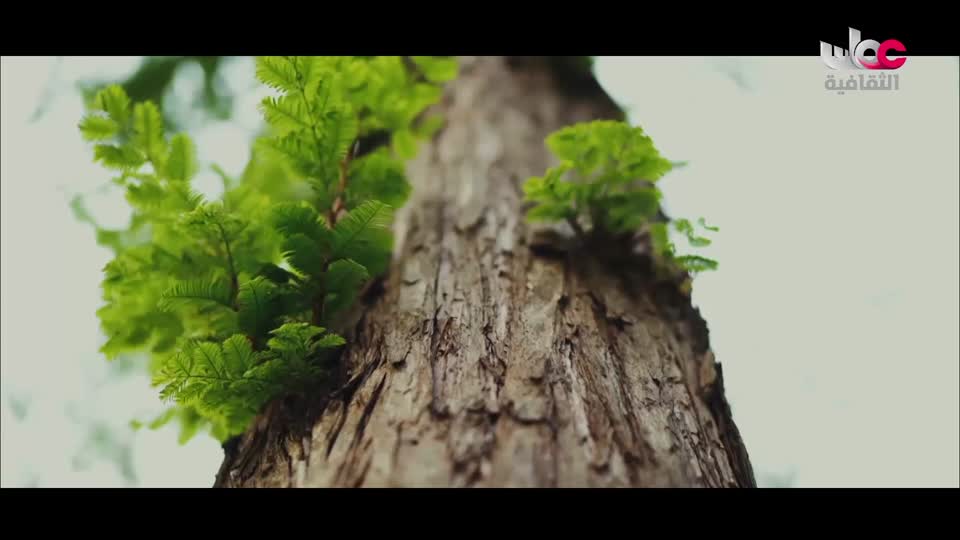 البرنامج الثقافي - العالم لك - الحلقة 25