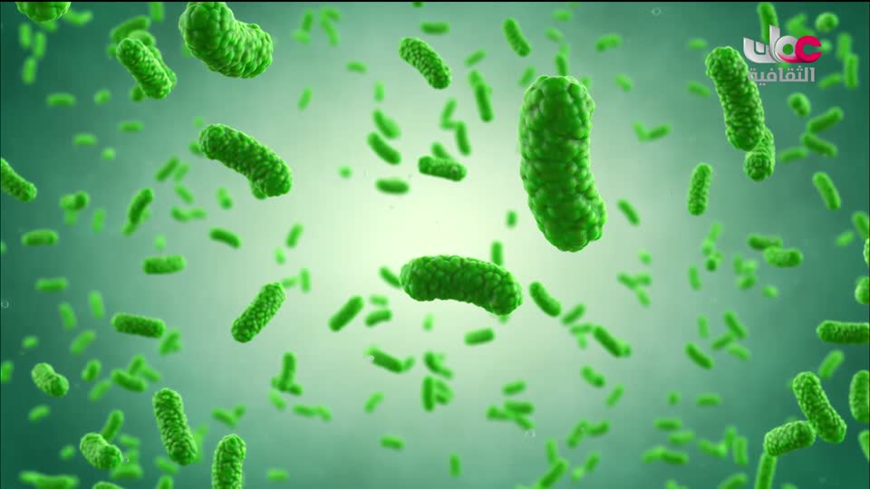 البرنامج الثقافي - زيوت عطرية - الحلقة 25