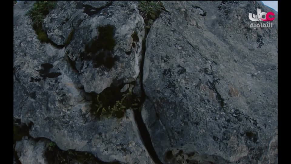 سبحانك ربي - الحلقة 27