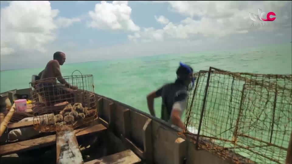 البرنامج الثقافي - رحلة الاستكشاف - 2026 - الحلقة 16