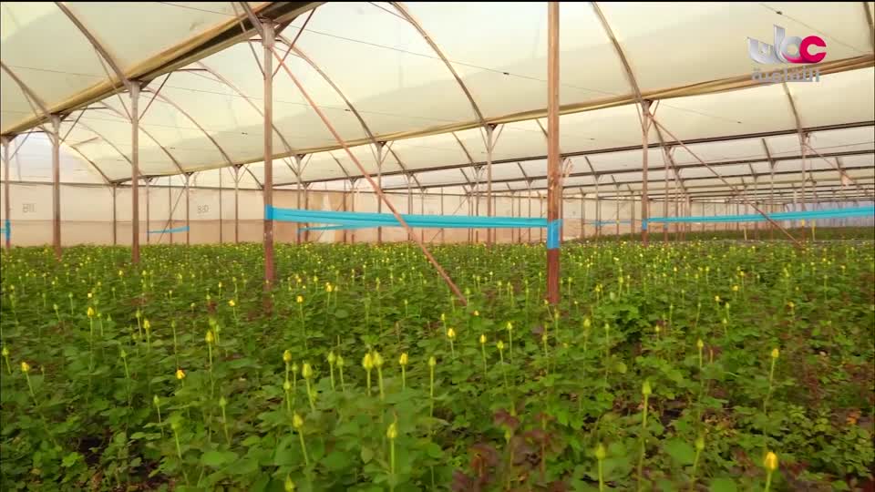 برنامج افريقيا قارة المستقبل - الحلقة 8