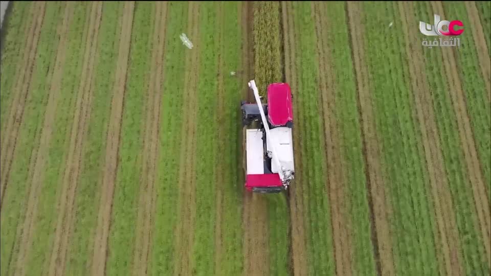 برنامج - أنا البحر - الحلقة 26