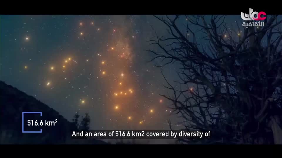 البرنامج الثقافي مقاهي عتيقة - الحلقة 26