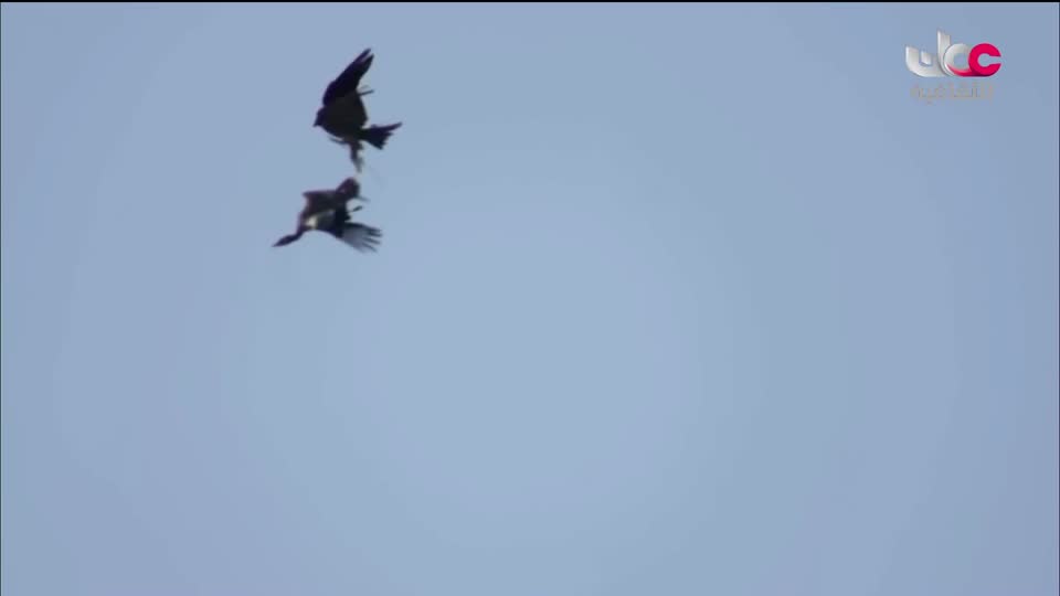 برنامج - كنوز الصحراء - الحلقة 26