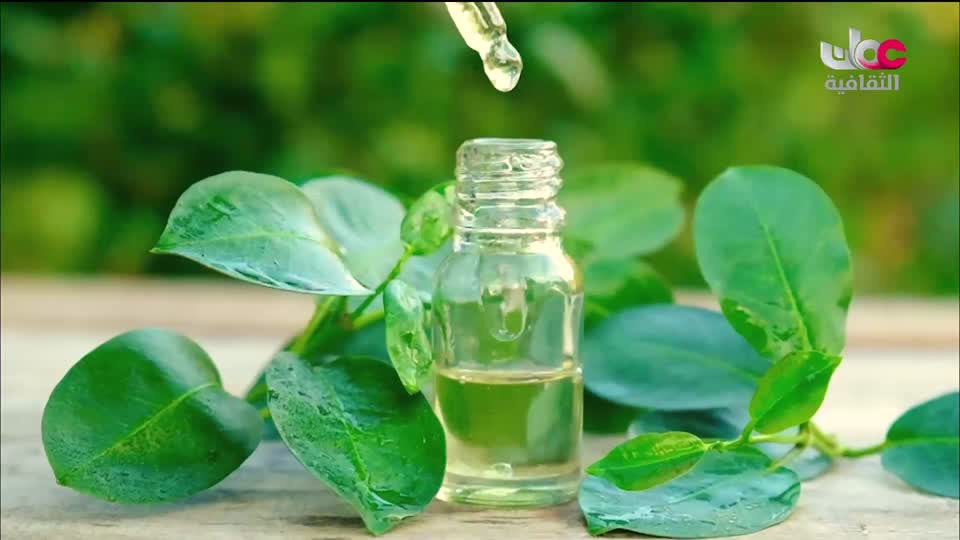 البرنامج الثقافي - زيوت عطرية - الحلقة 29