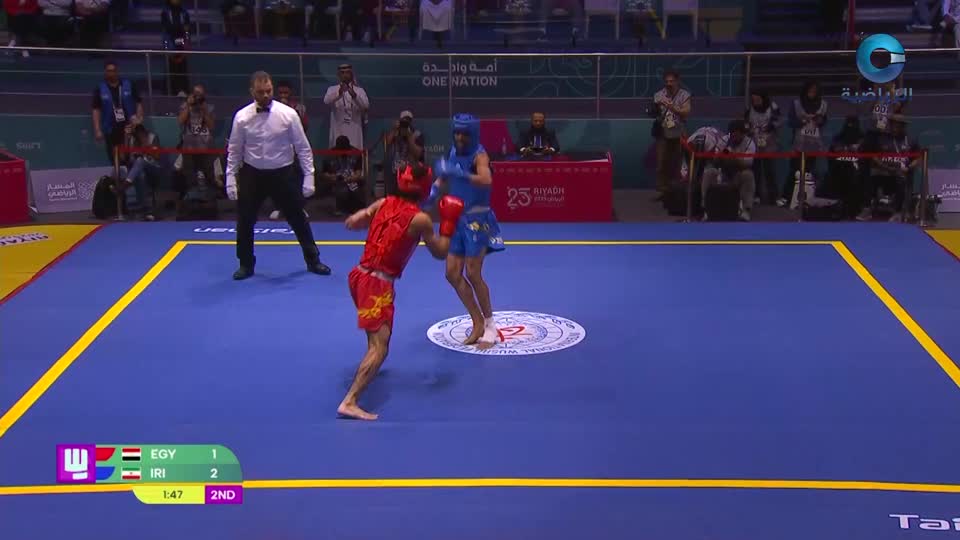 التضامن الاسلامي