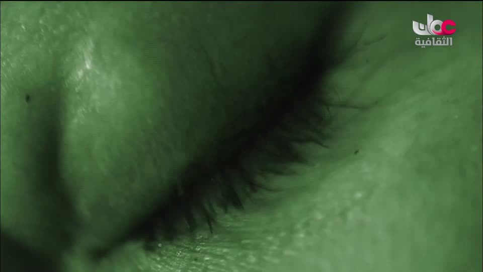 وثائقيات عن الطبيعة والمناخ - الحلقة 5