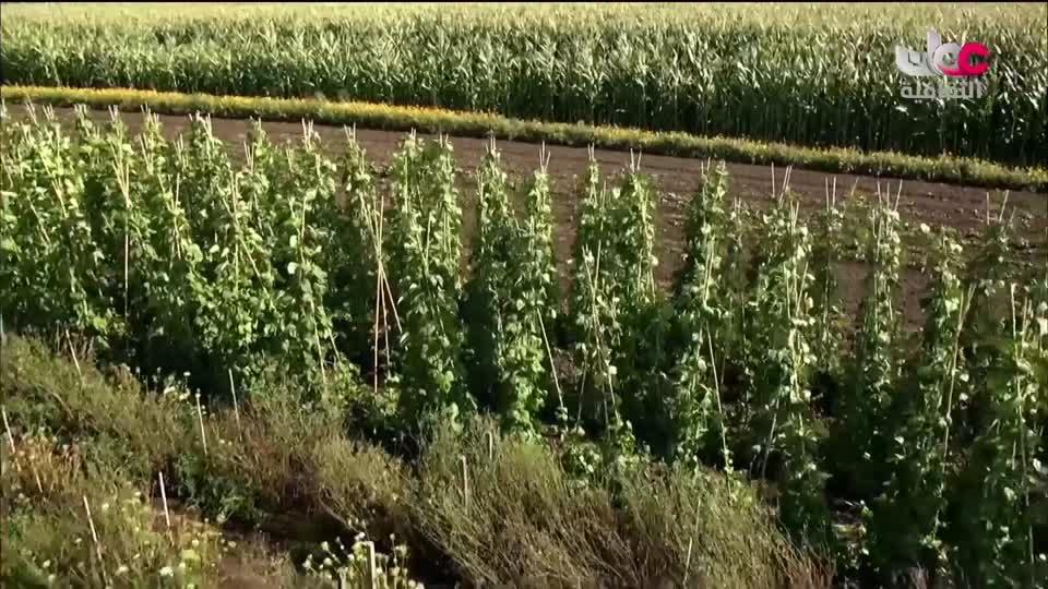 الزراعة من اجل الكوكب - الحلقة 5