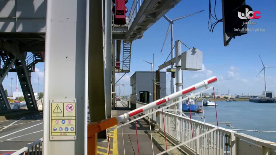 طاقة الحياة