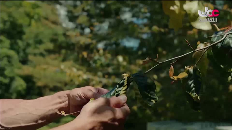 برنامج/اغاني مفرغة-موشحات - مركز عمانللموسيقى التق