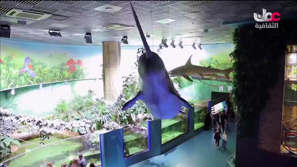 برنامج - قصص عمانية - الحلقة 13