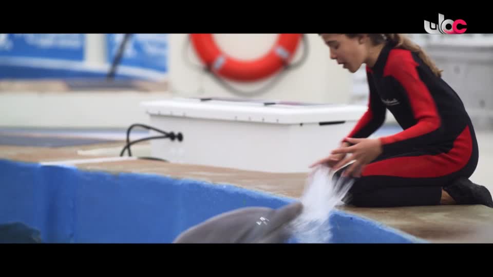 أفلام أجنبية 2024 - الحلقة 3